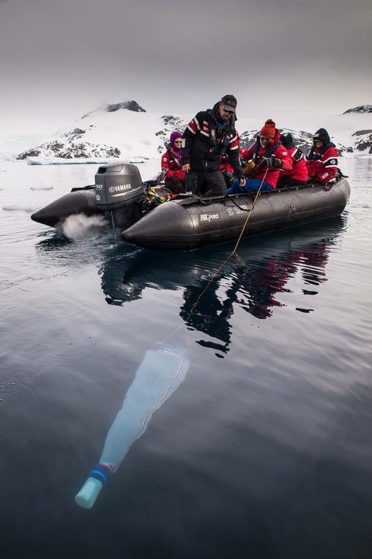 Travelers participating in plankton sampling