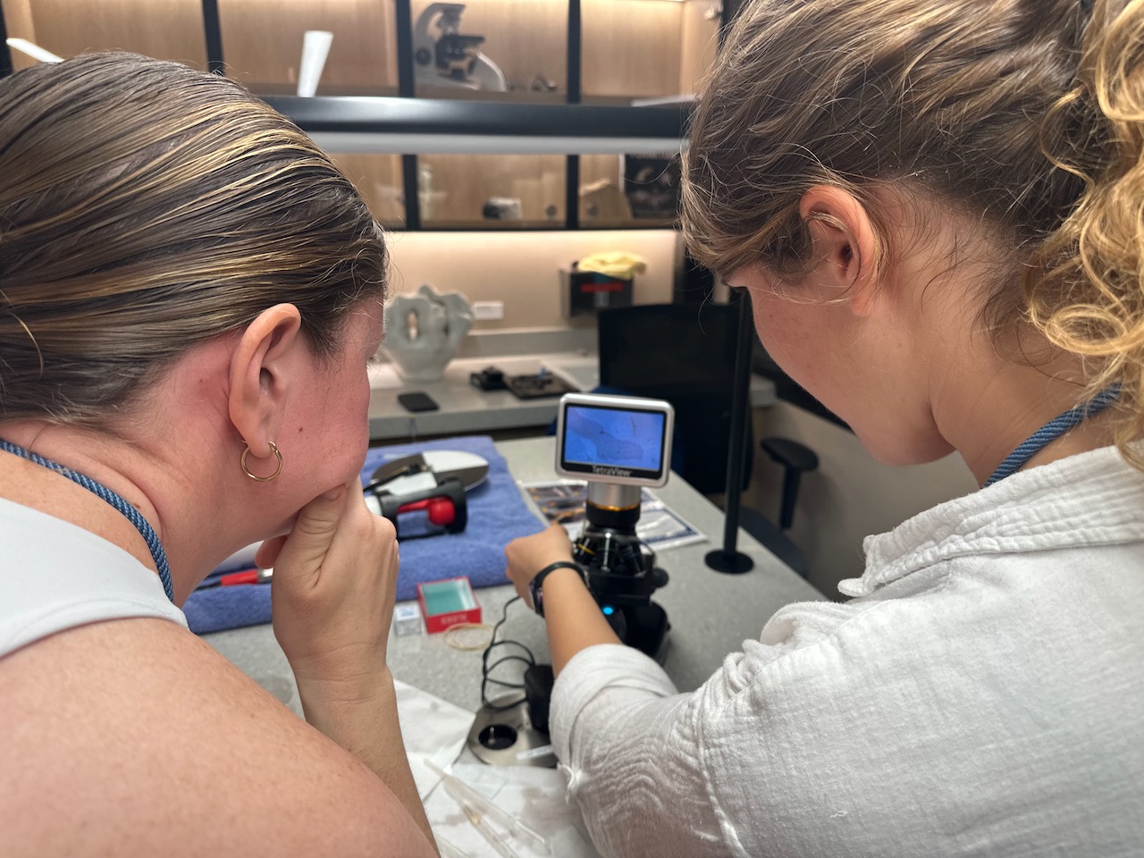 Two researchers examining a live plankton sample on a digital microscope screen in the onboard lab